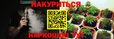мяу мяу мука Будённовск