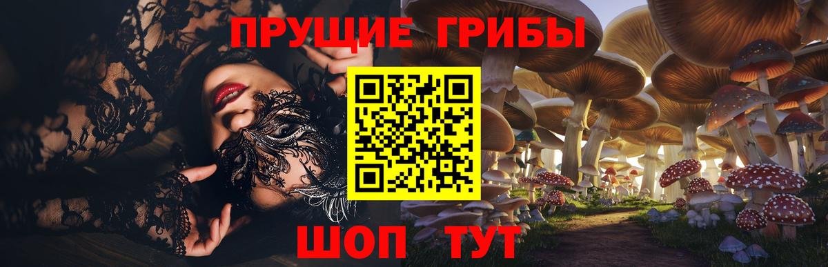 Псилоцибиновые грибы GOLDEN TEACHER  Вход с VPN  Новоалександровск 