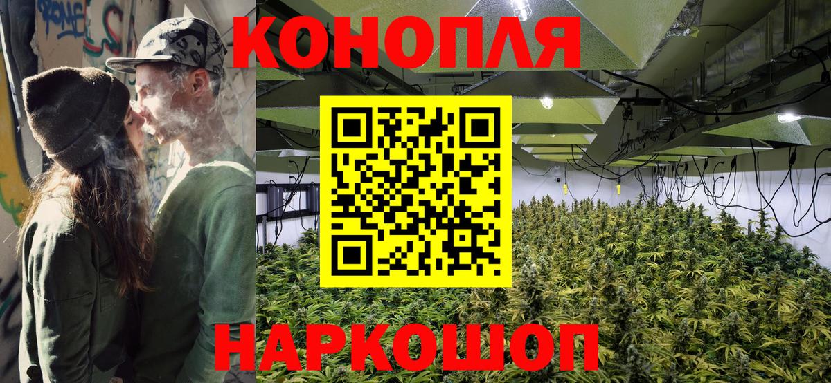 Конопля марихуана Новоалександровск